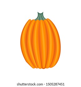 Pumpkin isolated on white background. Cartoon style. Decorative element for Halloween or thanksgiving. Vector illustration.