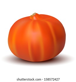 Pumpkin isolated on white background - vector illustration