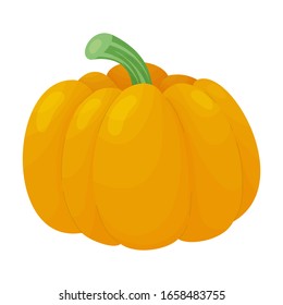 Pumpkin isolated on white background. Eco food. Website design, mobile app. Vector illustration vegetable  in cartoon style