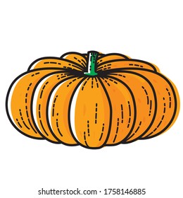 Pumpkin isolated on white background. Vector illustration of vegetable.