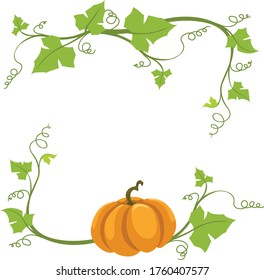 pumpkin isolated on white background.