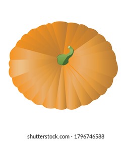 Pumpkin isolated on white background for design, top view. Vector stock illustration with autumn vegetable or pumpkin as a concept for harvest, halloween, farming, vegetarianism