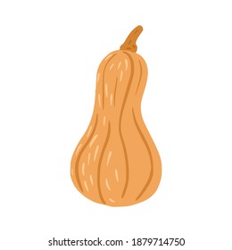 Pumpkin isolated on white background. Cartoon seasonal vegetable hand drawn. Doodle vector illustration.