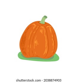 Calabaza aislada sobre fondo blanco. Cosecha otoñal. Plantilla para embalaje, postal, banner, afiche, diseño web. Ilustración vectorial dibujada a mano.