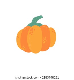 Pumpkin. Isolated on a white background. sticker. Cute vector illustration.