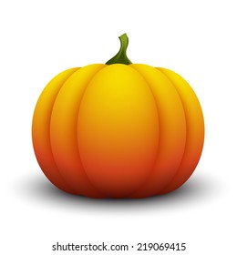 Pumpkin isolated on white background. Realistic eps10 vector illustration.