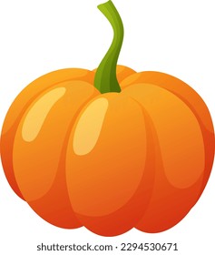 Pumpkin isolated on white background vector illustration.