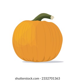 pumpkin isolated on white background, vector illustration. 
