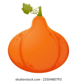 Calabaza aislada sobre fondo blanco. Elemento de temporada de otoño