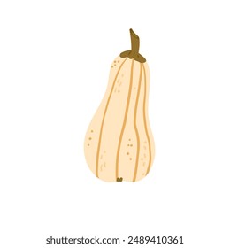 Calabaza aislada sobre fondo blanco. Cosecha de verduras maduras estilizadas con textura. Calabaza de nuez. Vector dibujado a mano ilustración