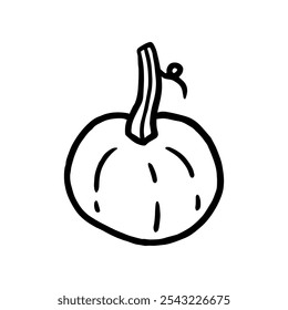 Kürbis einzeln auf weißem Hintergrund. Handgezeichnete Doodle-Vektorgrafik. Perfekt für Dekorationen, Menü, Logo, verschiedene Designs.