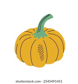 Pumpkin isolated on a white background. Vector illustration.