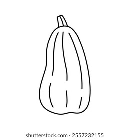 Pumpkin isolated on a white background. Vector hand-drawn doodle illustration. Perfect for decorations, menu, logo, various designs.