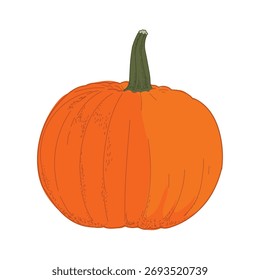 pumpkin isolated on white background