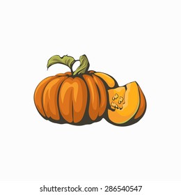 Pumpkin isolated on white background - vector illustration.
