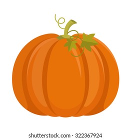 Pumpkin isolated on white background