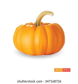 pumpkin isolated on white background. Vector illustration of pumpkin