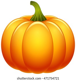 Pumpkin isolated on white background