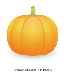 Pumpkin isolated on white background. Vector illustration.