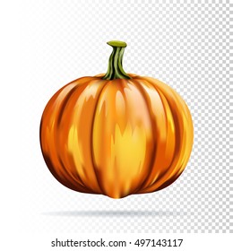   Pumpkin isolated on white Background, Realistic vector illustration