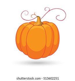 Pumpkin isolated on white background. Thanksgiving symbol. Vector illustration.