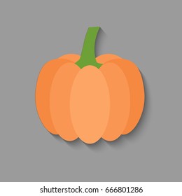 Pumpkin  isolated on white background - vector illustration.