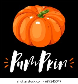 Pumpkin isolated on white background - vector illustration