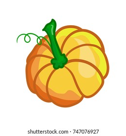 Pumpkin isolated on white background