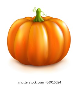 Pumpkin, Isolated On White Background, Vector Illustration