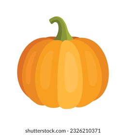 Pumpkin Isolated on White. Flat Design Style. Vector