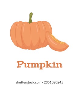 Pumpkin Isolated on White. Flat Design Style. Vector illustration