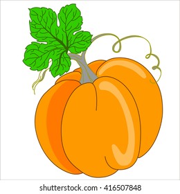 Pumpkin Isolated on White. Flat Design Style. Vector illustration. Cartoon vector Illustration. 