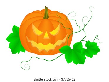 Pumpkin isolated on a white. Halloween. Vector illustration.