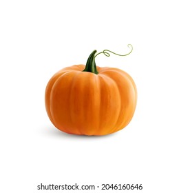 Pumpkin isolated on white. Realistic vector illustration.