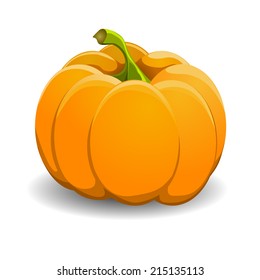 Pumpkin isolated on white. Realistic vector illustration.