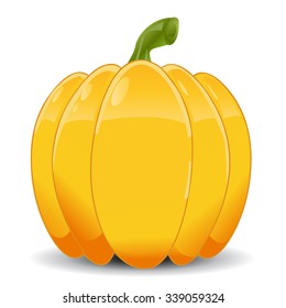Pumpkin isolated on white. Realistic vector illustration. 