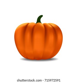 Pumpkin isolated on white. Realistic vector illustration.
