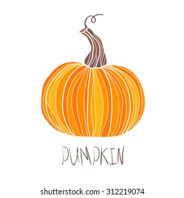Pumpkin Isolated on White.  Vector hand drawn illustration