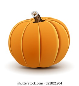 Pumpkin Isolated on White, Vector illustration