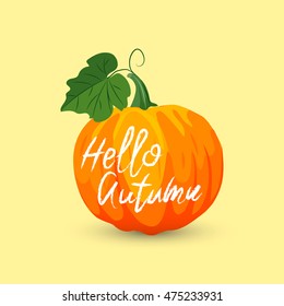 Pumpkin Isolated. Vector illustration