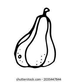 
Pumpkin, isolated vector image, hand drawn