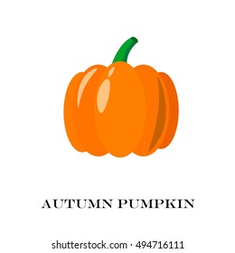 Pumpkin Isolated.Flat and cartoon Design Style. Vector illustration