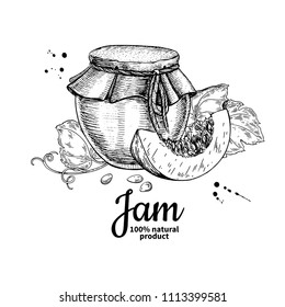 Pumpkin jam glass jar vector drawing. Jelly and marmalade.  Hand drawn food illustration. Sketch style vintage objects for label, icon, packaging design.