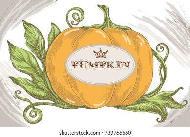 Pumpkin King Size