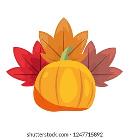 pumpkin laeves foliage white background
