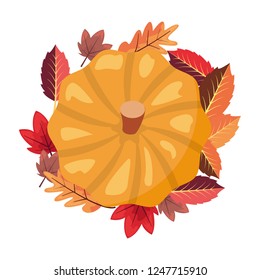 pumpkin laeves foliage white background