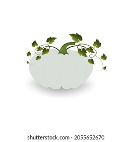 La calabaza es grande, con hojas verdes y una sombra sobre un fondo blanco. Una imagen vectorial.