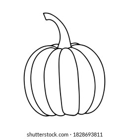 Pumpkin, leaf, acorn, mushroom.  Vector doodle element. For printing on paper, package, web banners, greeting cards. Autumn Thanksgiving day Happy Halloween party. Forest. Vegatarian food symbols.
