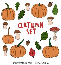 Pumpkin, leaf, acorn, mushroom. Vector doodle set of autumn design elements. For printing,  web banners, greeting cards. Happy Hallooween, Thanksgiving day, party, harvesting. Vegetarian food symbols.