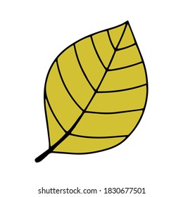 Pumpkin, leaf, acorn, mushroom.  Vector doodle element. For printing on paper, package, web banners, greeting cards. Autumn Thanksgiving day Happy Halloween party. Forest. Vegatarian food symbols.
